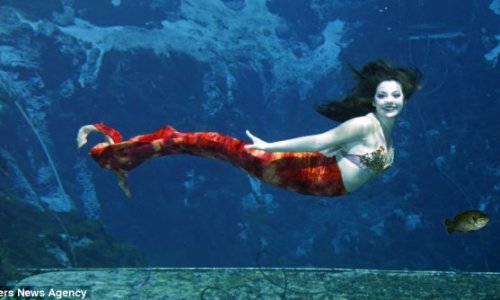 The real life LITTLE MERMAID - PHOTO