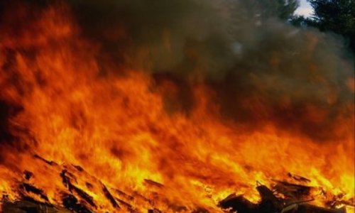 На территориях заповедника «Шахдаг» и Огузского парка продолжается пожар