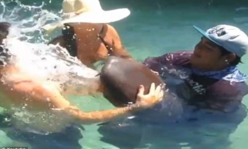 Shark projectile vomits water into surprised swimmer's face - VIDEO