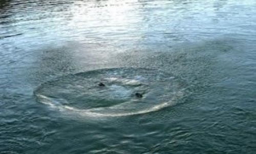 В Куре утонули 5 человек, включая 4-x детей