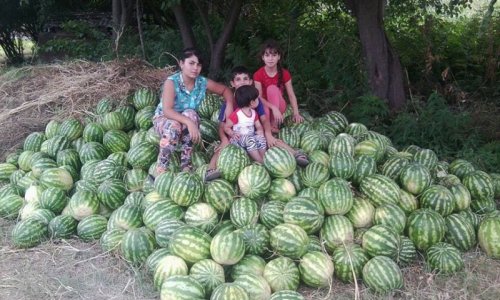 Armenian girls selling watermelons in Azerbaijan's Zangilan - PHOTO