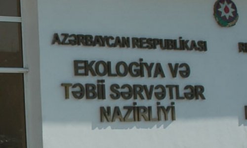 Nazirlik vəzifəli şəxsləri və xeyli əməkdaşı cəzalandırdı