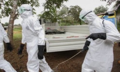 ВОЗ: масштаб распространения лихорадки Эбола уменьшается
