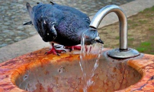 Bakının ən isti günü... – Ehtiyatlı olun!