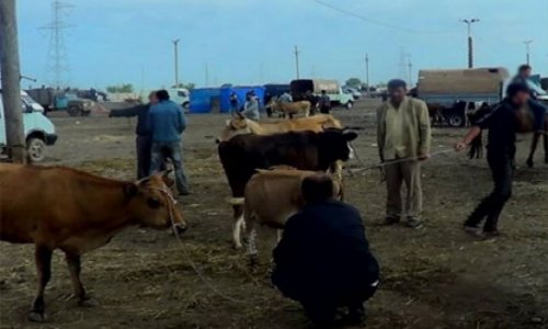 Azərbaycanda bazar bağlandı - Virusa görə