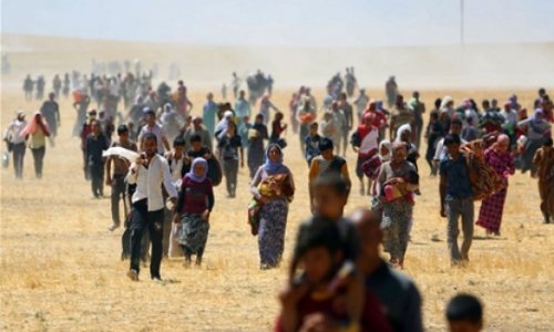 Yezidi kürdlərin Qarabağa köçü realdırmı?