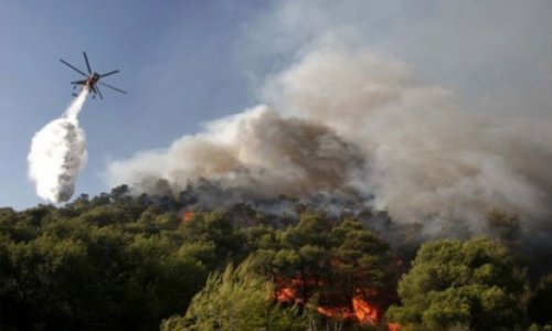 İsmayıllı meşələri yanır: helikopterlər havaya qaldırıldı