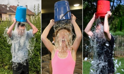 How much has the ice bucket challenge achieved?