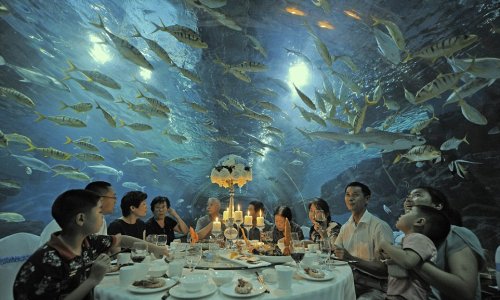 Aquarium visitors enjoy extraordinary dinner party - PHOTO