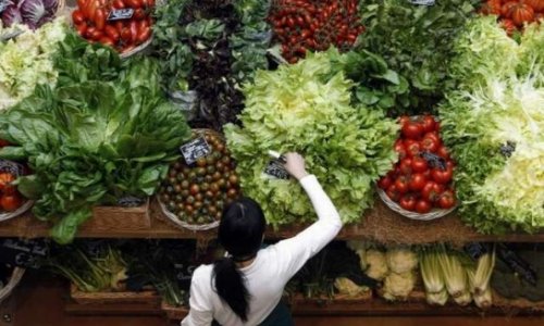 Russian food ban offers big opportunity for Azerbaijan