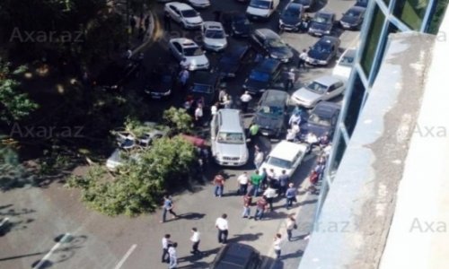 В центре Баку дерево упало на автомобили -ФОТО
