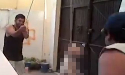Sick dog death video sparks police manhunt for cruel torture gang - VIDEO