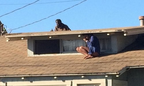 Actress climbed onto her roof to hide from home intruder - VIDEO