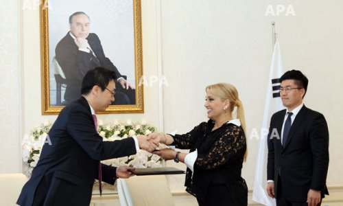 Супруга Кямаледдина Гейдарова на международном мероприятии - ФОТО