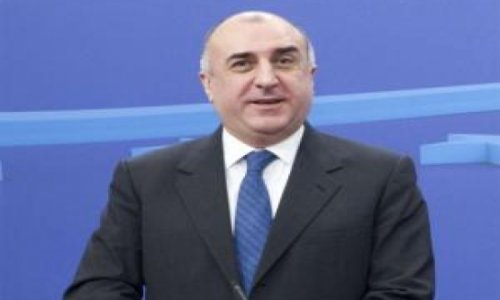 Министр иностранных дел Азербайджана выступил в ПАСЕ