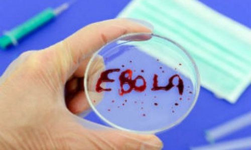 Грузия: Перед угрозой Эболы - во всеоружии