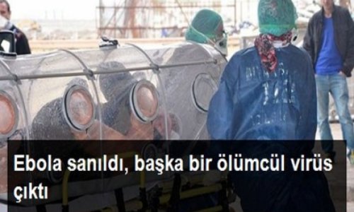 Ebola sanıldı, başqa ölümcül virus çıxdı - VİDEO