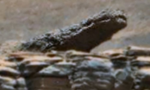 Астроном обнаружил каменного крокодила на Марсе- ВИДЕО