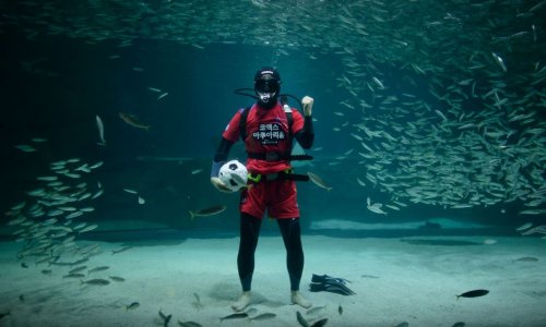 Подводный футбол по-корейски- ФОТО