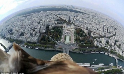 Footage captures ultimate bird's-eye view of Paris - VIDEO