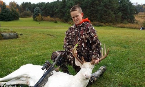 Boy, 11, shoots dead extremely rare albino deer - PHOTO