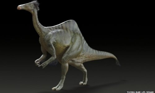 Mystery of dinosaur with giant arms solved