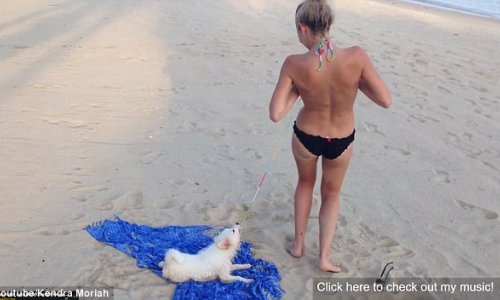 Puppy attempts to pull off girls bikini top - VIDEO