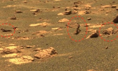 На Марсе нашли окаменевших инопланетян, ракету и голову льва -ФОТО+ВИДЕО