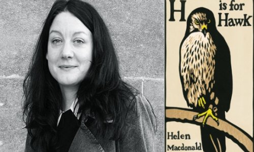 Hawk book wins £20,000 Samuel Johnson prize