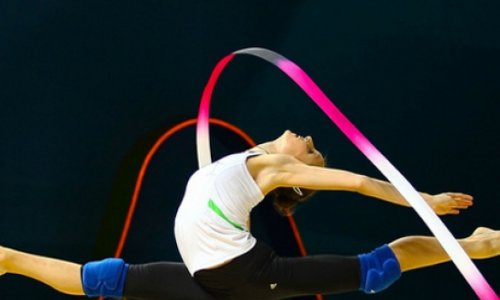 Azerbaijani gymnasts "shine" in Europe