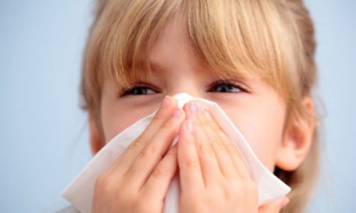 5 ways to combat flu in your home