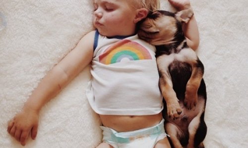 Theo And Beau Star In A Naptime Love Story - PHOTO