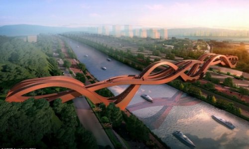 Bridge design that will leave you tongue-tied - PHOTO