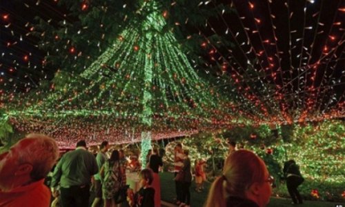 Family set Christmas lights record - VIDEO