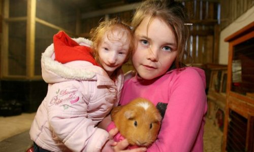 Smallest six-year-old in world meets GIANT RABBIT - PHOTO