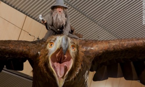 New 'Hobbit' art flies at NZ airport, airline