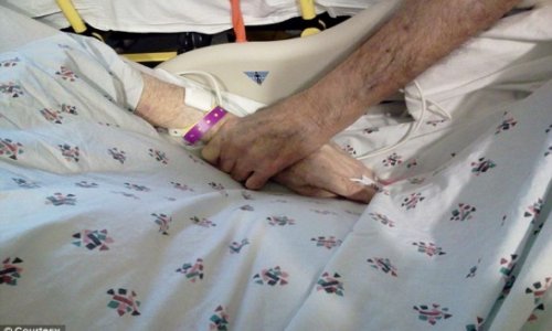 Elderly couple married for 65 years die within hours of one another