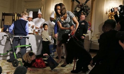 Obama's new dog Sunny knocks down a little girl at the White House