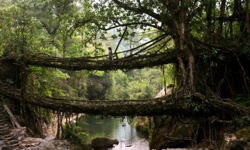 Six beautiful and bizarre bridges - PHOTO