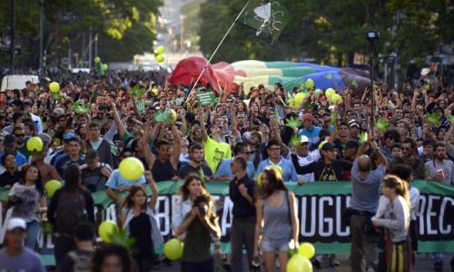 Uruguay legalises sale and production of cannabis - PHOTO