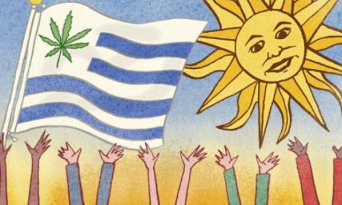 Heroic Uruguay deserves a Nobel peace prize for legalising cannabis