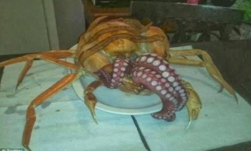 That's no way to stuff a turkey