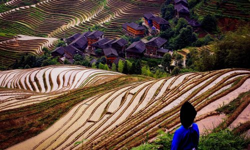 Swirls of colours and mesmerising shapes captured by photographer - PHOTO