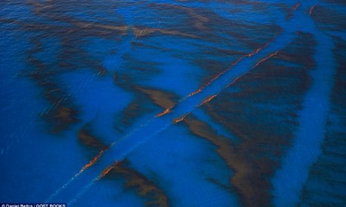 Mesmerising photos show Gulf's 210 million gallon oil spill in 2010 - PHOTO