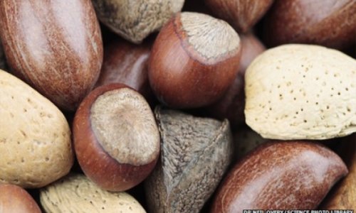 Study backs eating nuts in pregnancy