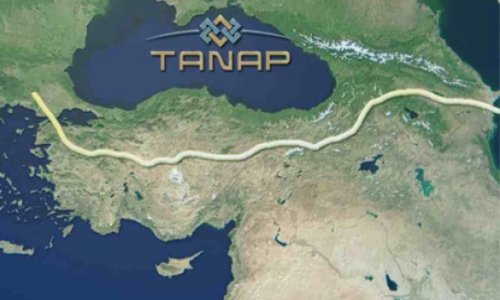 Turkey to increase its share of Tanap to 30 percent