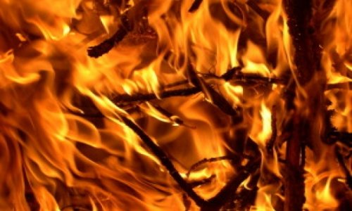 3 Dead and 7 Injured in Louisiana Christmas Fire