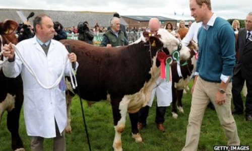 Prince William returns to university to study farming