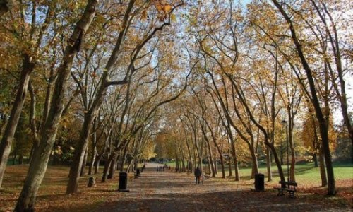 Green spaces have lasting positive effect on well-being