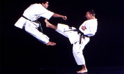Azerbaijani karate fighters claim 3 medals in Paris